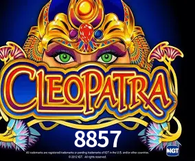 8857 Curitiba - Live Status